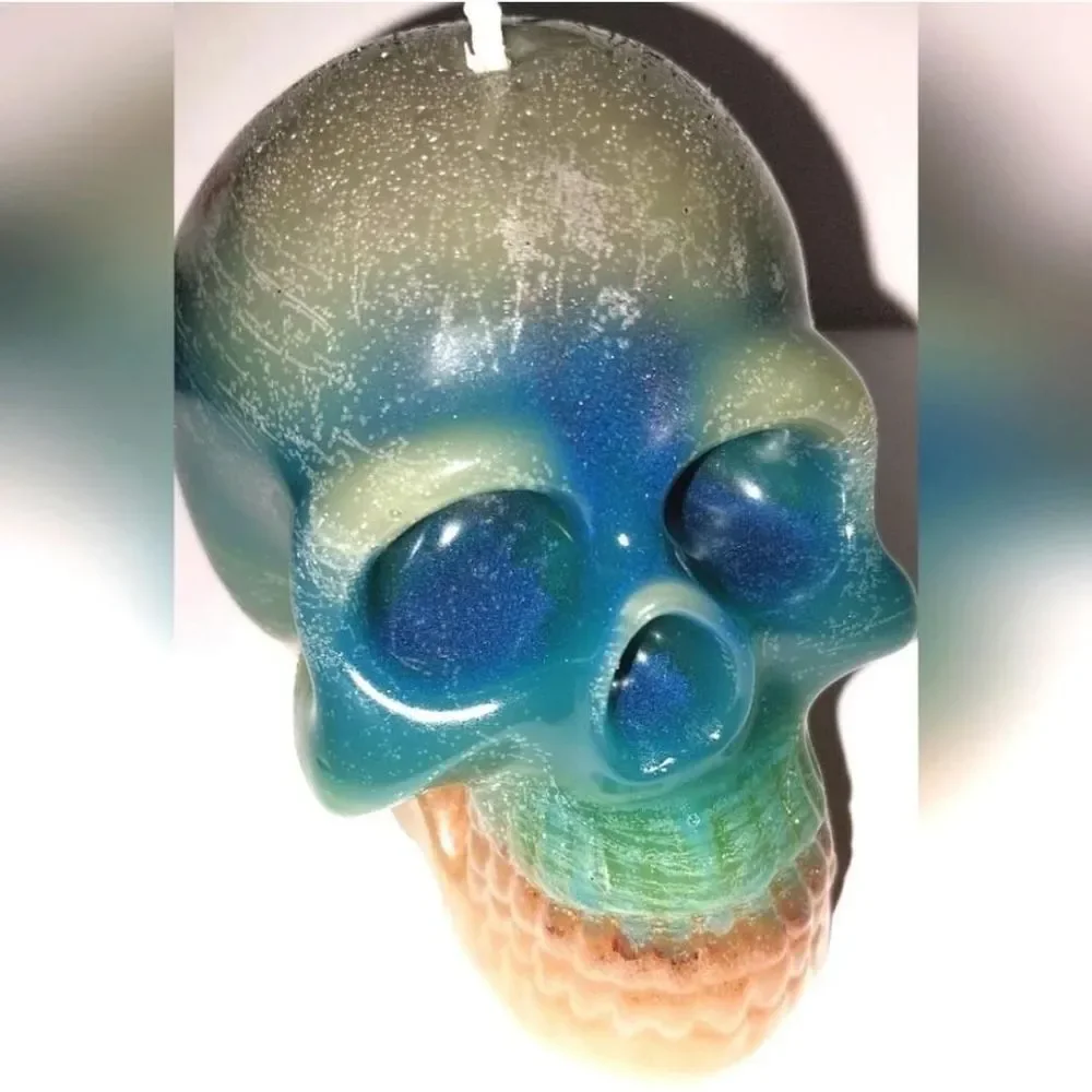 hand crafted limited edition skull 5563